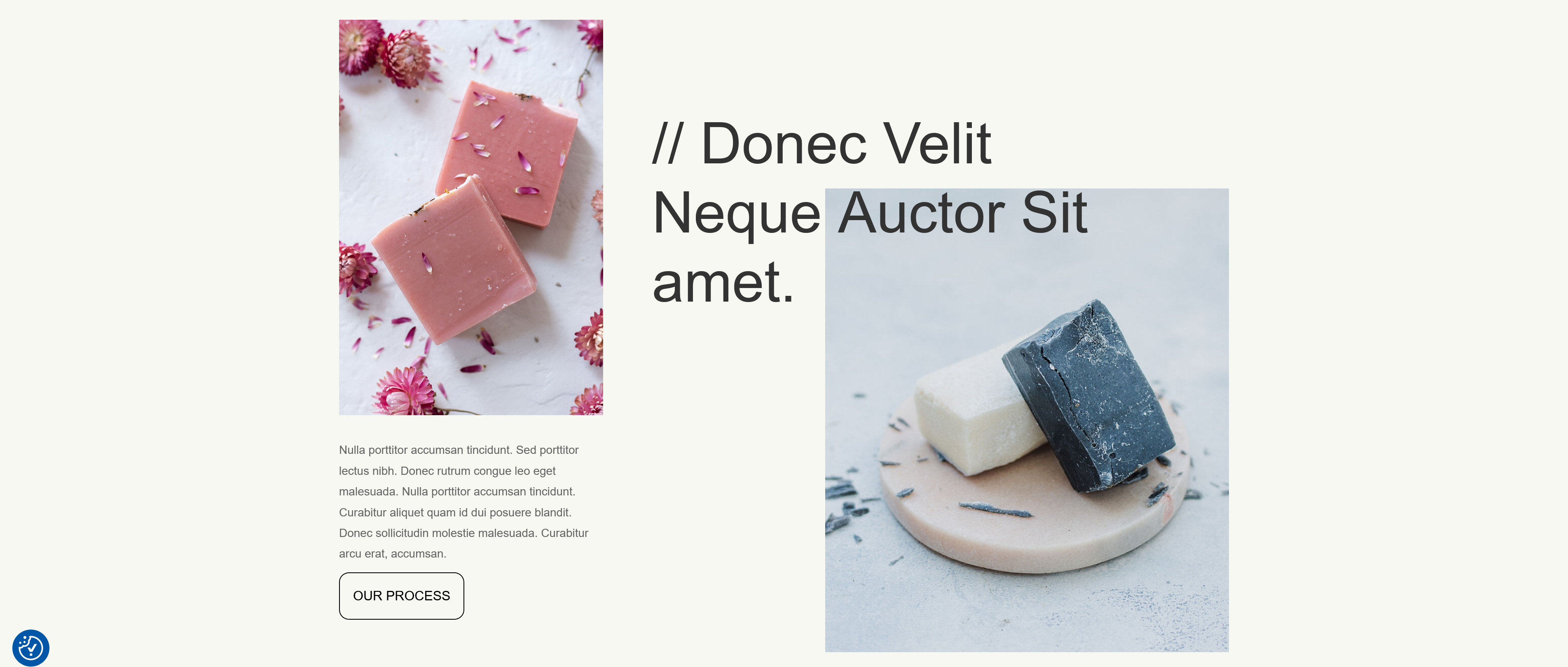Screenshot 2024-04-03 at 14-47-32 Landingpage - Seifen Shop selbstgemacht - Landingpages